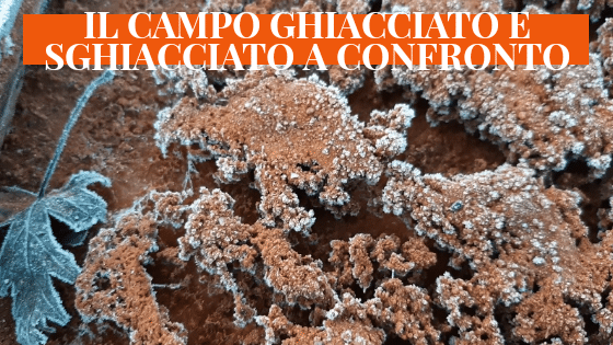 Campo in terra rossa ghiacciato e sghiacciato a confronto.
